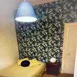 F3 centre ville Clermont proche Tram jardin Lecoq